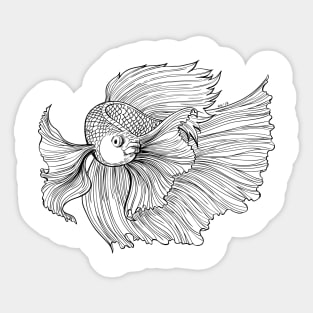 Siamese fighting fish Sticker